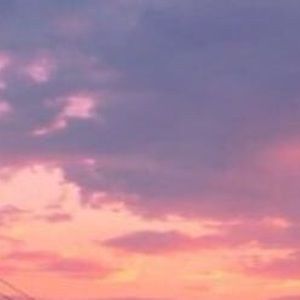 Meet your Posher, Maddie